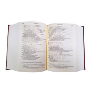 18828_Biblia Sagrada (detalhe)
